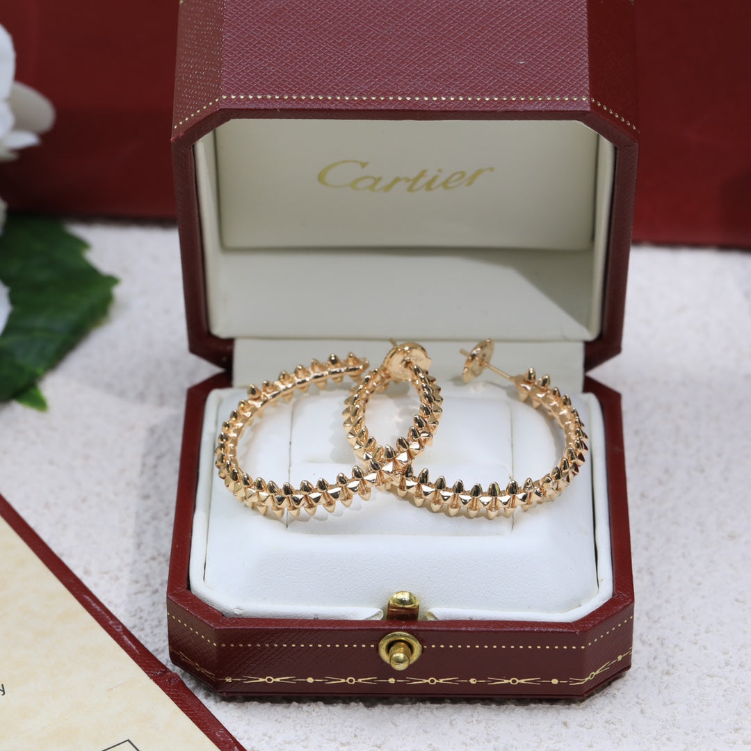 Carti* new large earrings