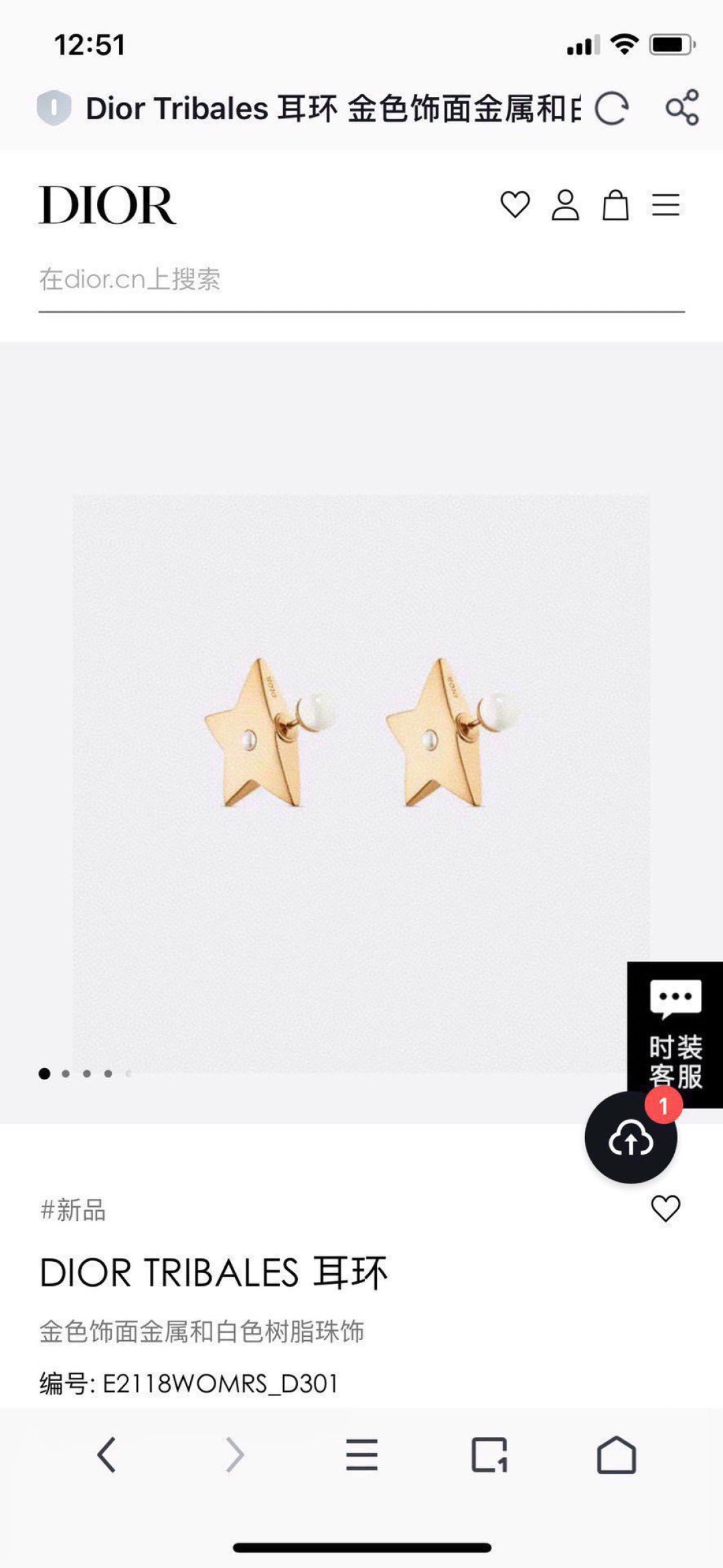 DIO* 25SS earrings