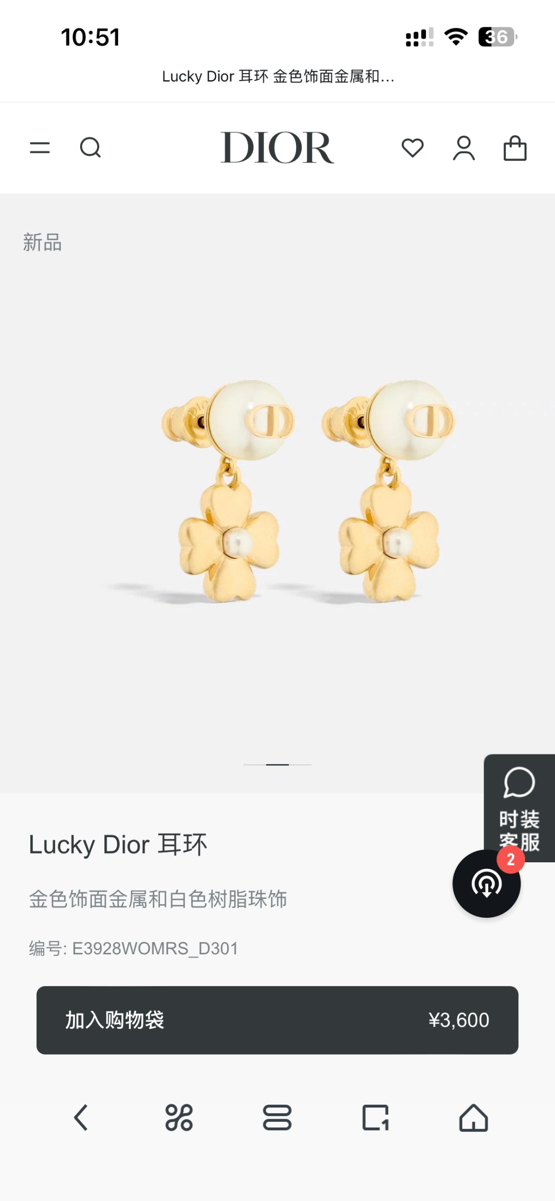 DIO* 25SS earrings