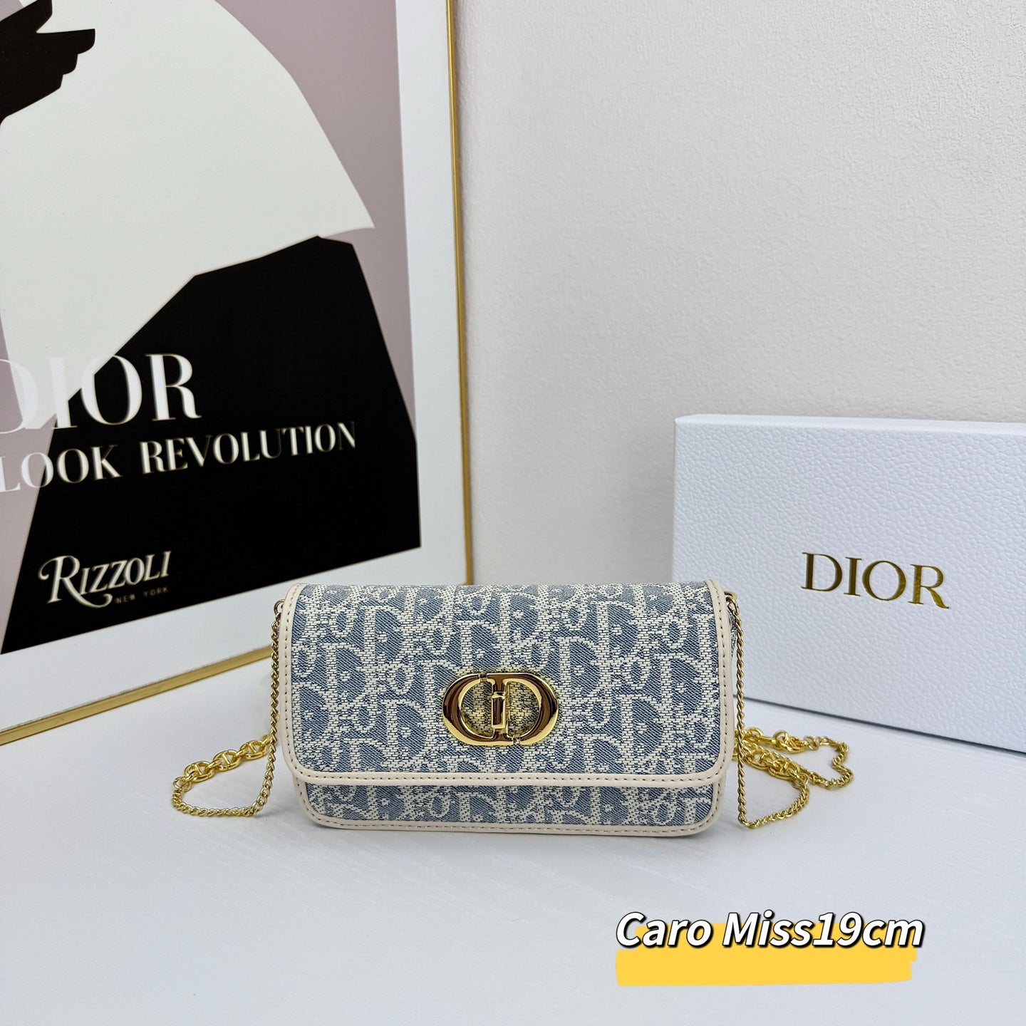 DIO* 25SS Montaigne bag