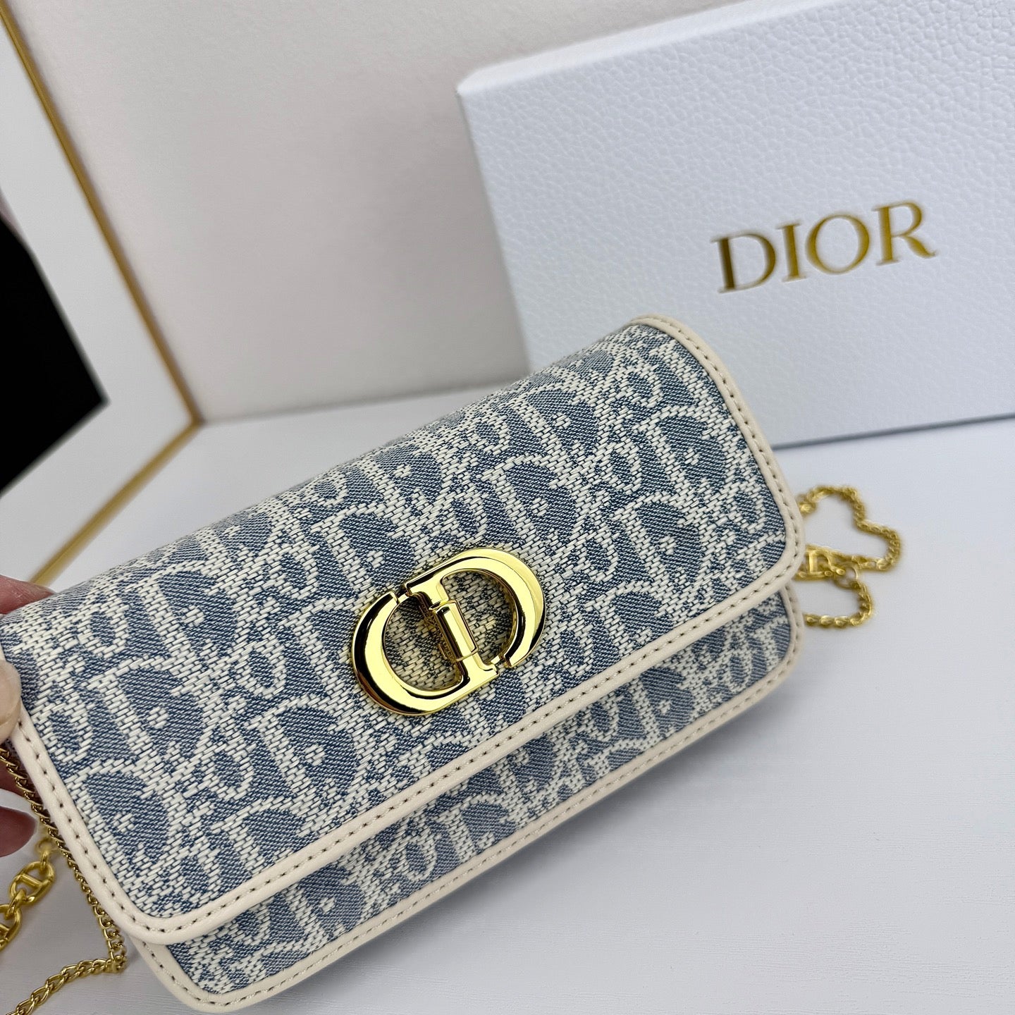 DIO* 25SS Montaigne bag