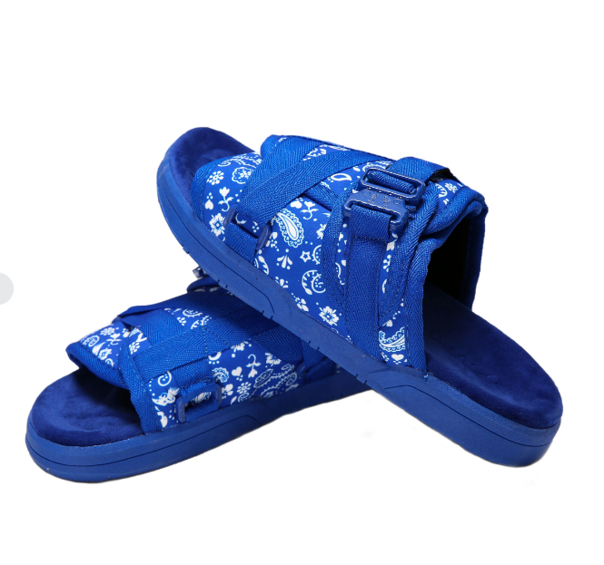 Bandanna DracoSlides