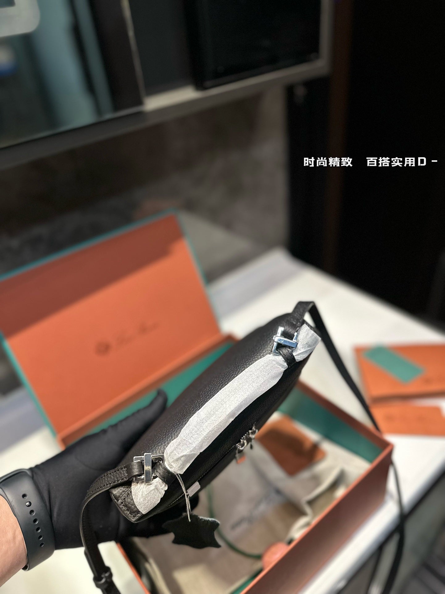 Loro Pia**2024 shoulder bag (multiple colors)