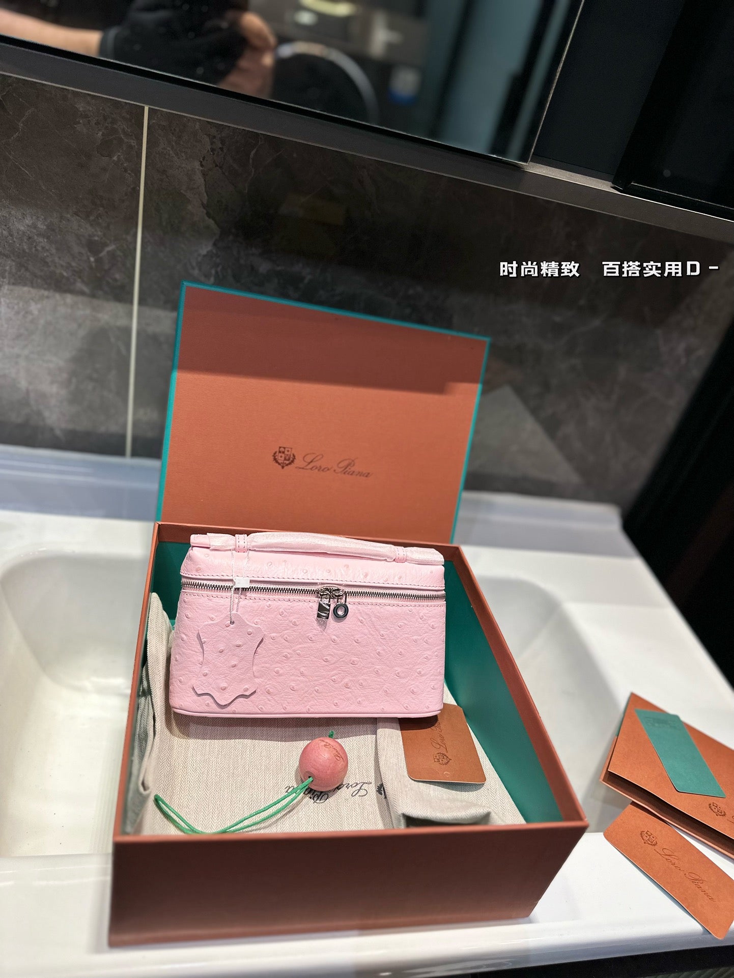 Loro Pia**2024 lunch box bag (multiple colors)