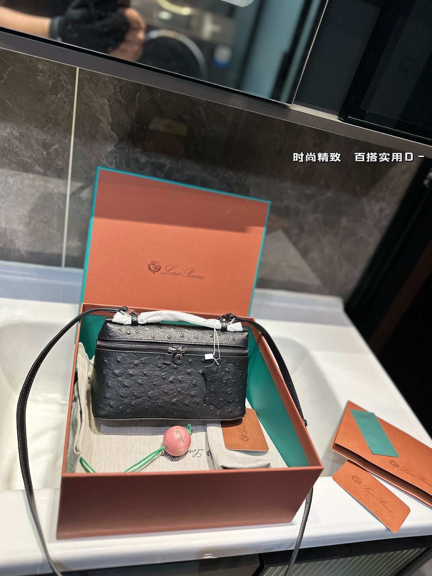 Loro Pia**2024 lunch box bag (multiple colors)