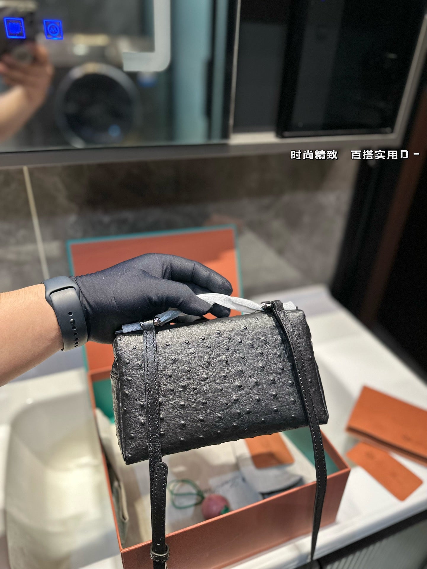 Loro Pia**2024 lunch box bag (multiple colors)