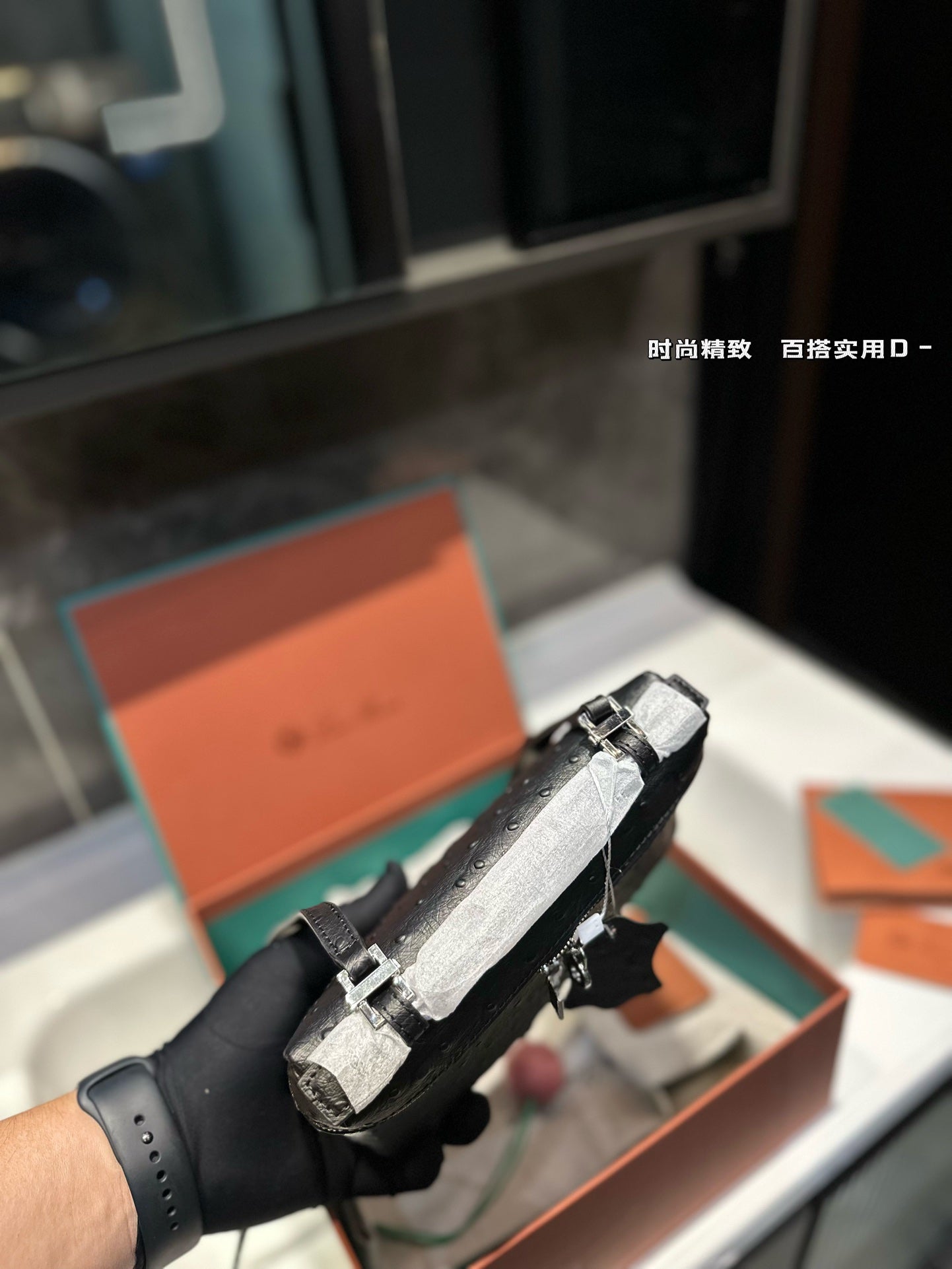 Loro Pia**2024 lunch box bag (multiple colors)