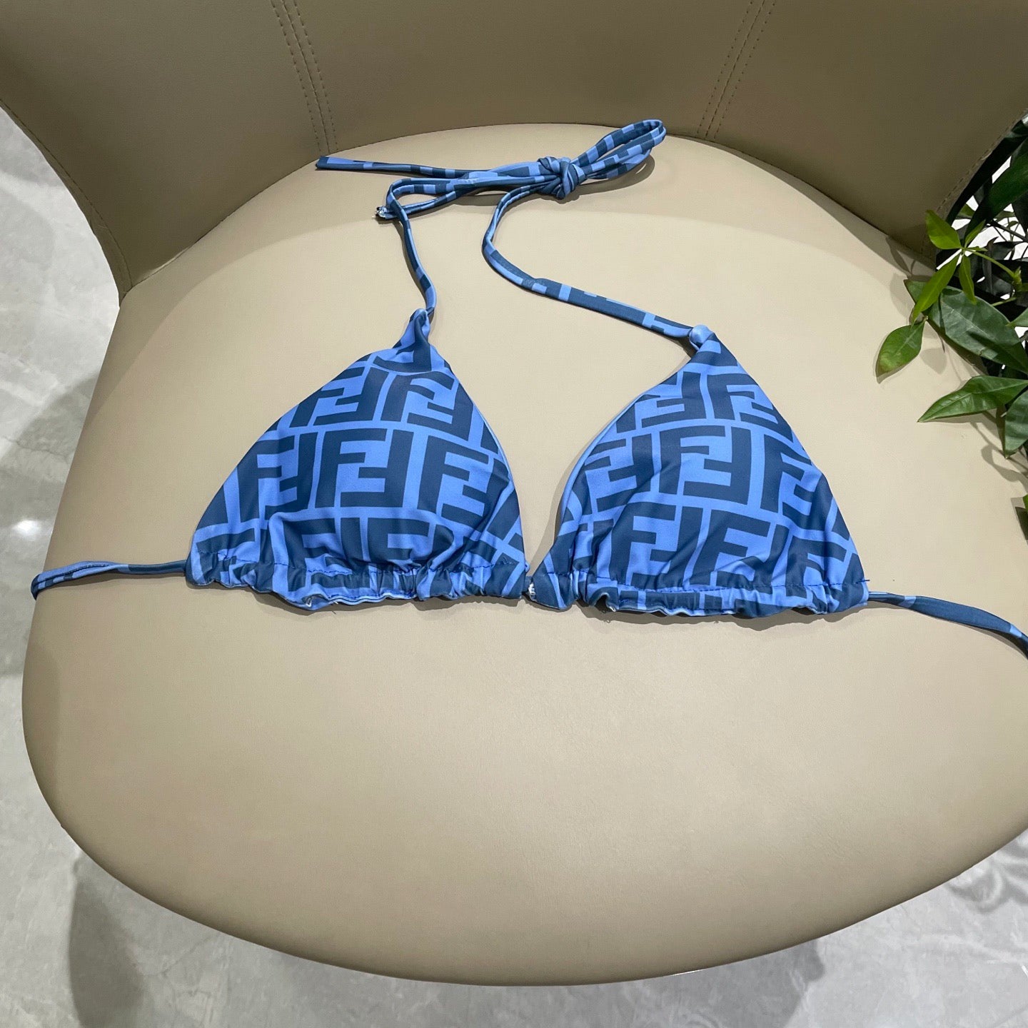 Stylish and sexy bikini