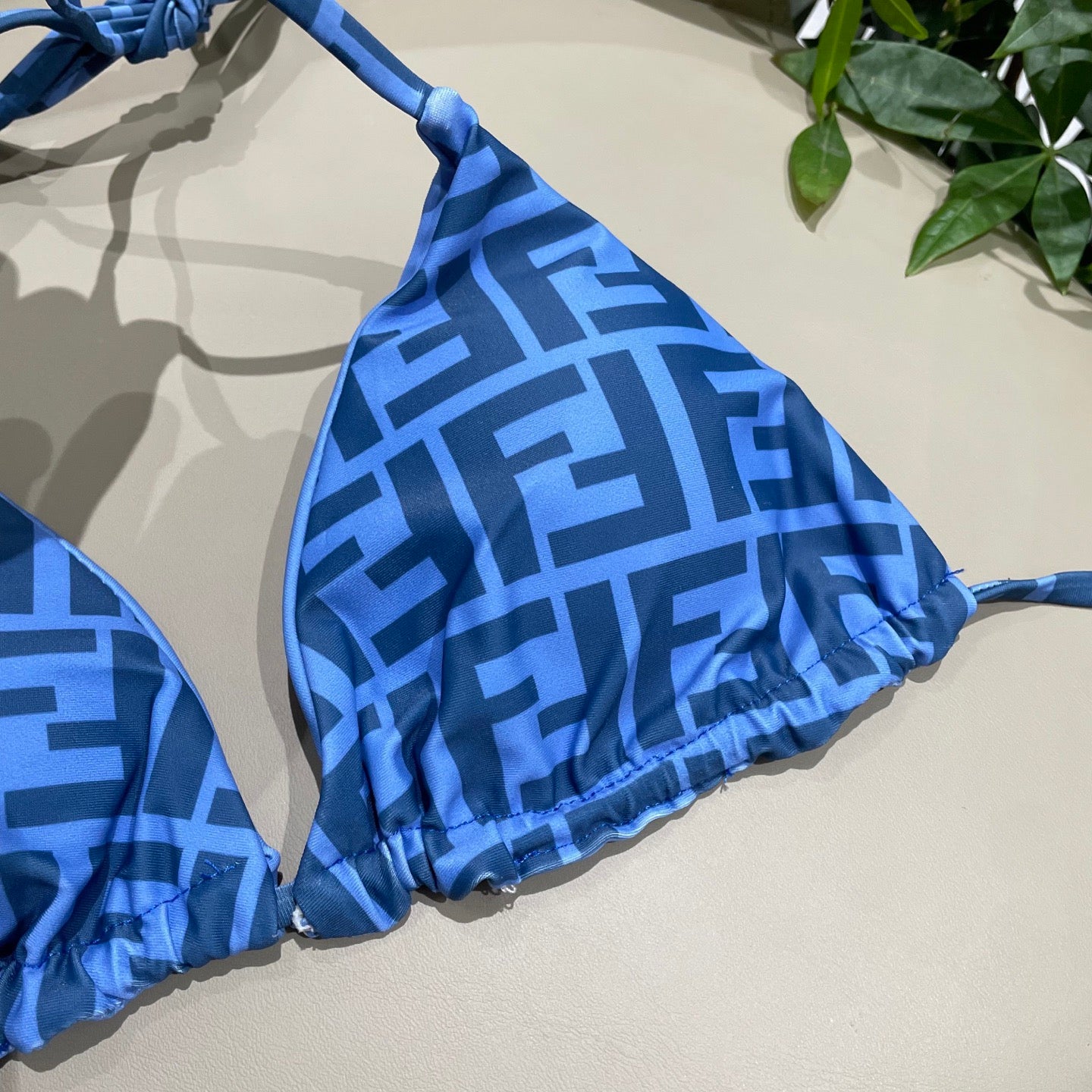Stylish and sexy bikini