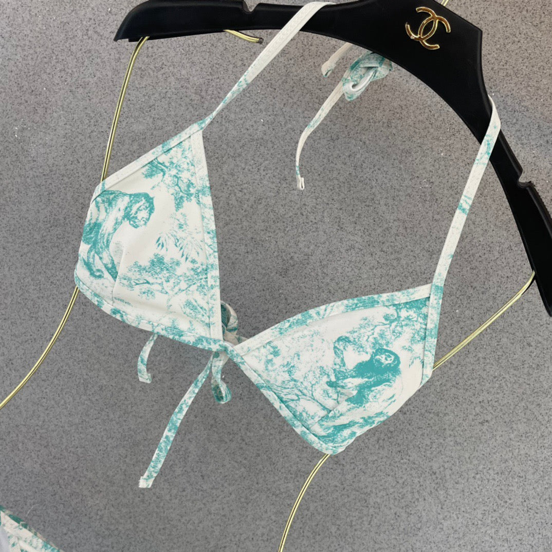 Stylish and sexy bikini