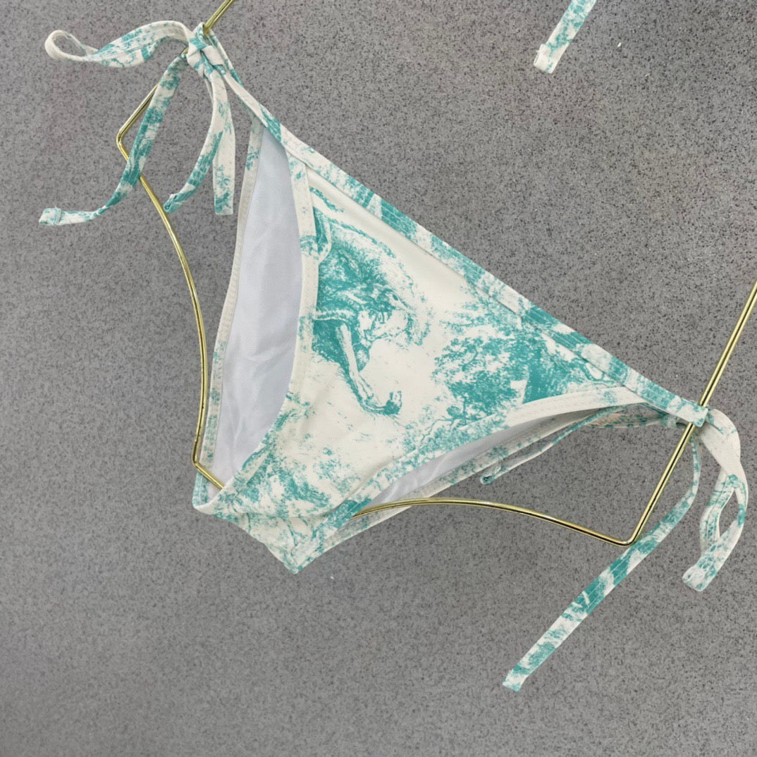 Stylish and sexy bikini
