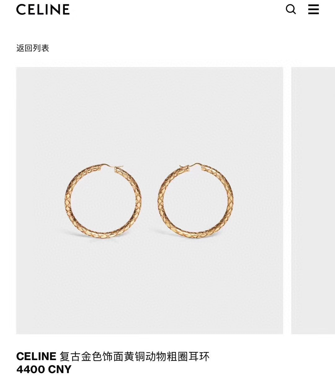 C  New Earrings
