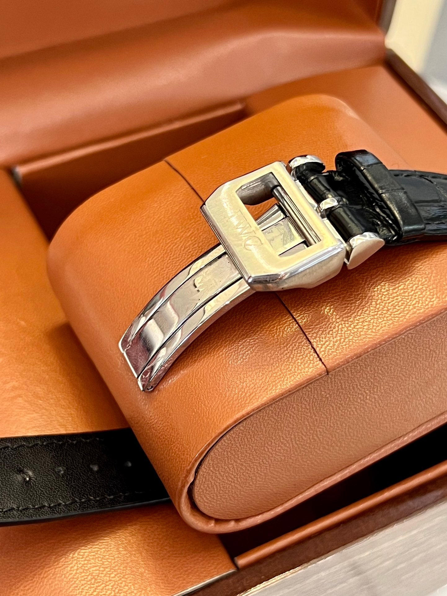 New pilot series IW51584 transparent bottom watch