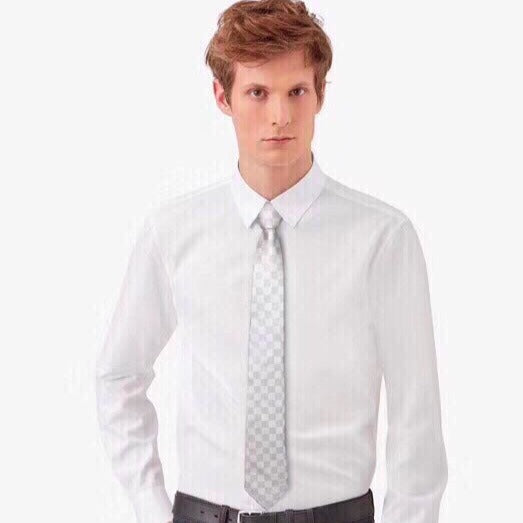 L new style tie for men